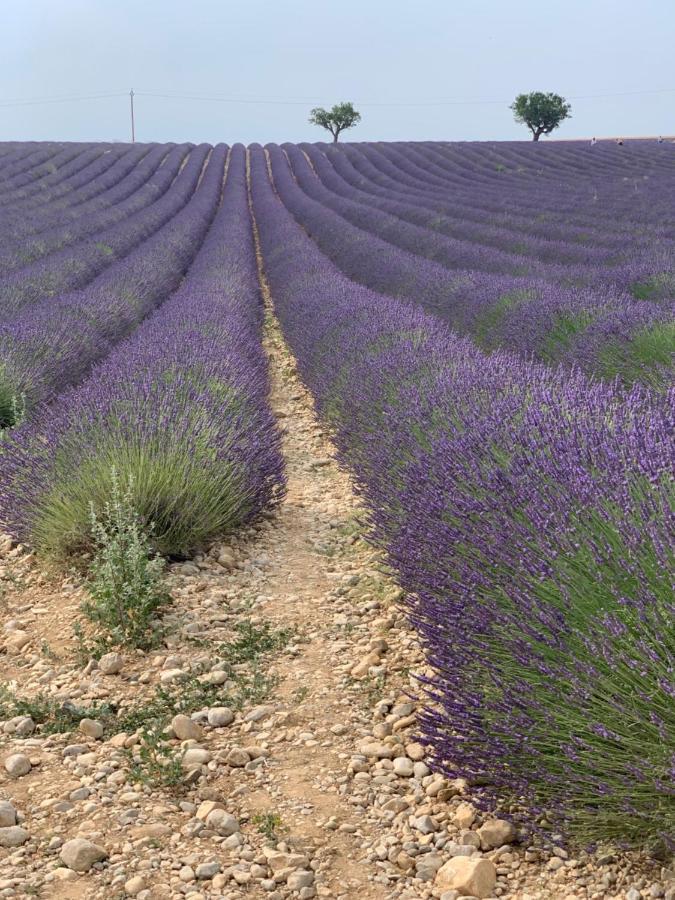 Studio Nuitee En Provence 2 Éguilles Eksteriør bilde